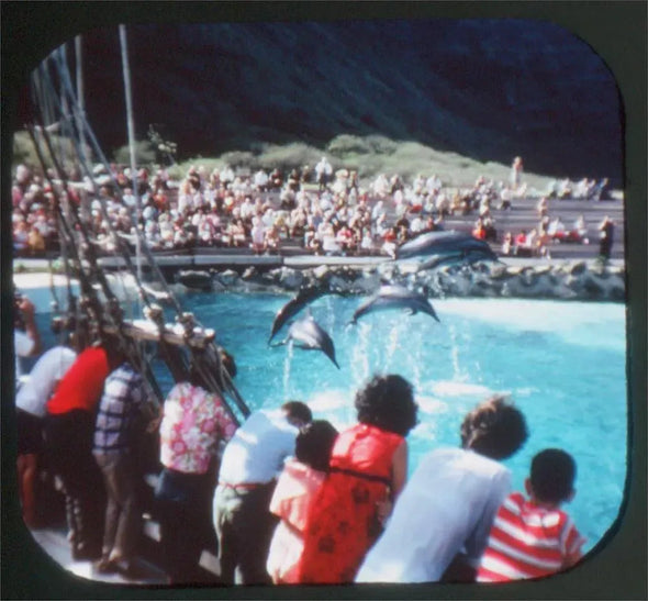 Andrew - Sea Life Park - Hawaii - View-Master 3 Reel Packet - 1960s views - vintage (A130-S6A) Packet 3dstereo 