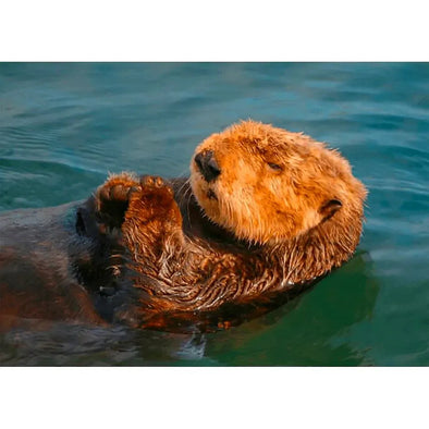 Sea Otter - 3D Lenticular Postcard Greeting Card - NEW Postcard 3dstereo 