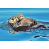 SEA OTTER AND PUP - 3D Magnet for Refrigerators, Whiteboards, and Lockers - NEW MAGNET 3dstereo 