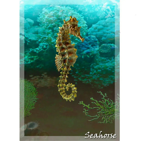 Seahorse - 3D Lenticular Postcard Greeting Card - NEW Postcard 3dstereo 