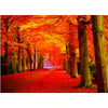 Seasons Trees - Triple Views - 3D Flip Lenticular Poster - 12x16 - 3 Images in 1 Poster - NEW Poster 3dstereo 