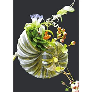 Shell with Flowers - 3D Lenticular Postcard Greeting Card 3dstereo 