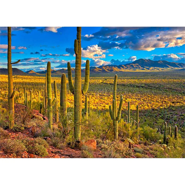 Sonoran Desert - 3D Postcard  Greeting Card - NEW