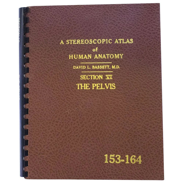 Stereoscopic Atlas of Human Anatomy - The Pelvis - by Bassett - vintage - 1962