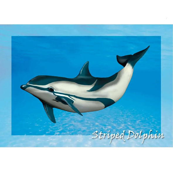 Striped Dolphin - 3D Lenticular Postcard Greeting Card- NEW Postcard 3dstereo 