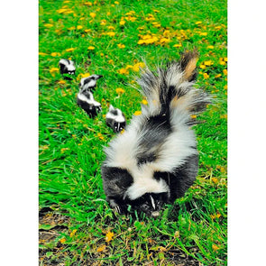 Striped Skunk Family - 3D Lenticular Postcard Greeting Card - NEW Postcard 3dstereo 