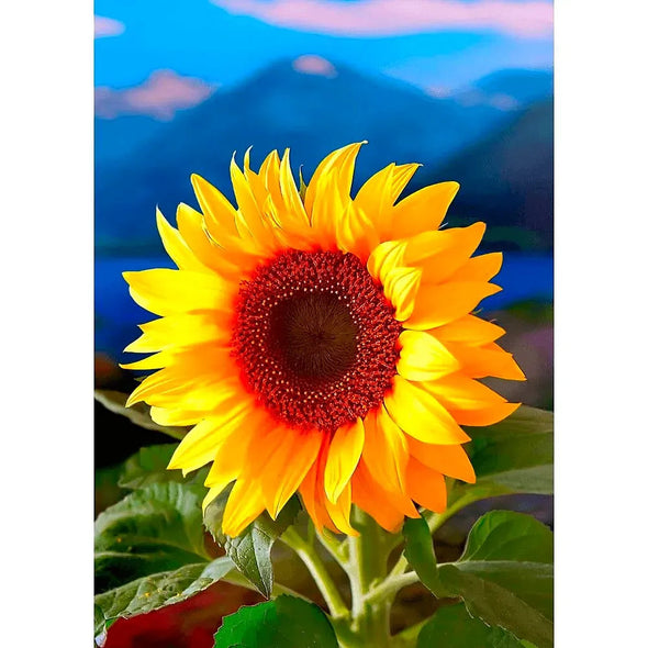 Sunflower - 3D Lenticular Postcard Greeting Card - NEW Postcard 3dstereo 
