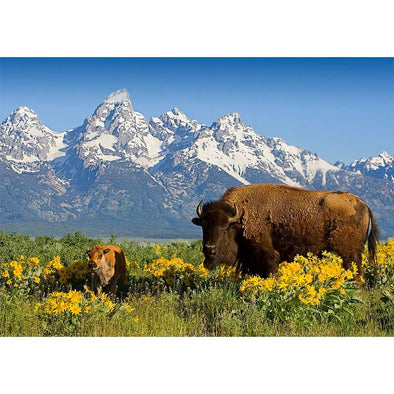 Teton Range with Bison - 3D Lenticular Postcard Greeting Card - NEW Postcard 3dstereo 