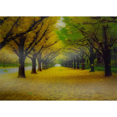 Tree Alley with Falling Leaves - 3D Lenticular Poster - 10 X 14 - NEW Poster 3dstereo 