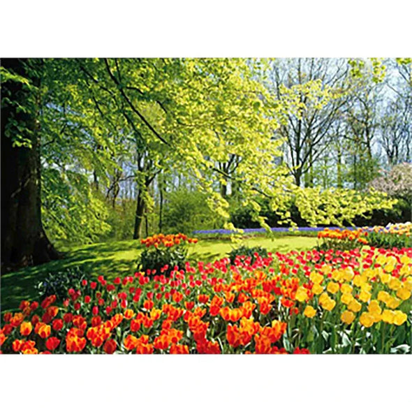 Tulip Floral Garden Peaceful and Tranquil - 3D Lenticular Poster - 12x16 - NEW Poster 3dstereo 