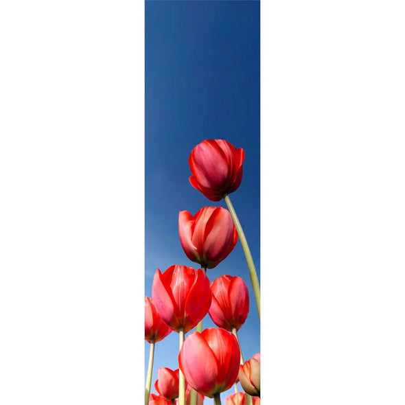 TULIPS 2 - 3D Lenticular Bookmark -NEW Bookmarks 3Dstereo 