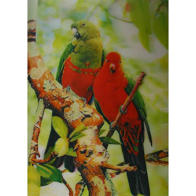 Two Colorful Parrots - 3D Lenticular Poster - 10 X 14 - NEW
