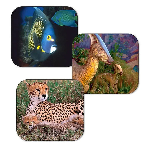Dinosaurs Marine Safari Animals - View-Master/Discovery Kids Gift Set - Viewer & 3D Reel Set - NEW