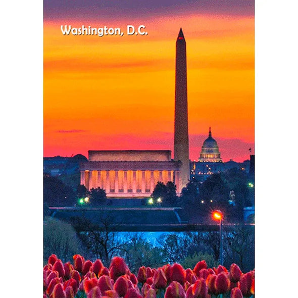 Washington Monument by Day and Night - 3D Lenticular Postcard Greeting Card - NEW Postcard 3dstereo 