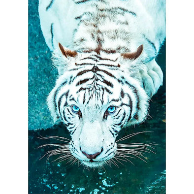 White Bengal Tiger - 3D Lenticular Postcard Greeting Card - NEW Postcard 3dstereo 
