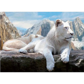 White Lion - 3D Lenticular Poster - 12x16 - NEW Poster 3dstereo 