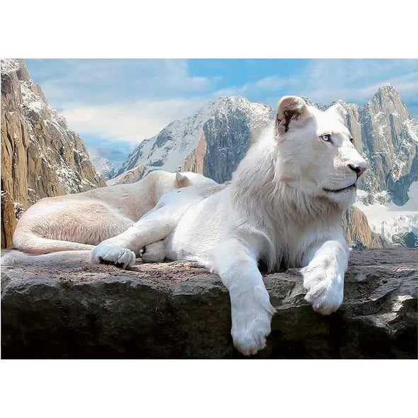 White Lion - 3D Lenticular Poster - 12x16 - NEW Poster 3dstereo 
