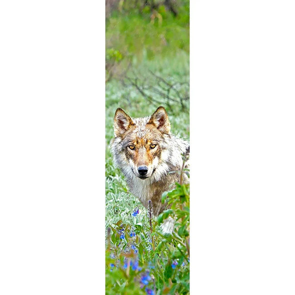 WOLF - 3D Lenticular Bookmark -NEW Bookmarks 3Dstereo 