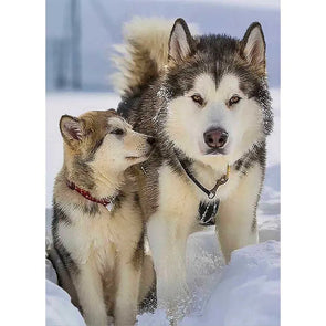 Alaskan Malamute and Pup in Snow - 3D Lenticular Poster - 12x16 - NEW Poster 3dstereo 