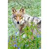 WOLF & FLOWERS - 3D Magnet for Refrigerators, Whiteboards, and Lockers - NEW
