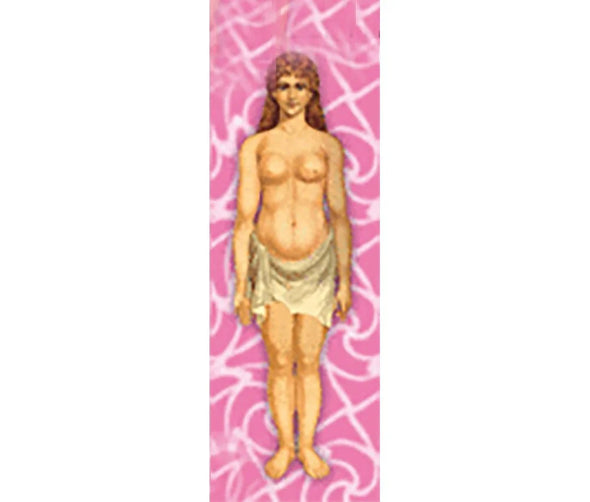 Woman's Body Anatomical - 3D Animated Lenticular Bookmark - NEW