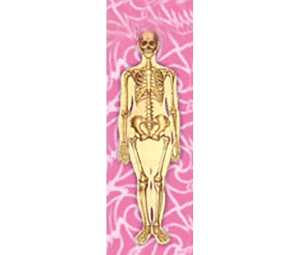 Woman's Body Anatomical - 3D Animated Lenticular Bookmark - NEW