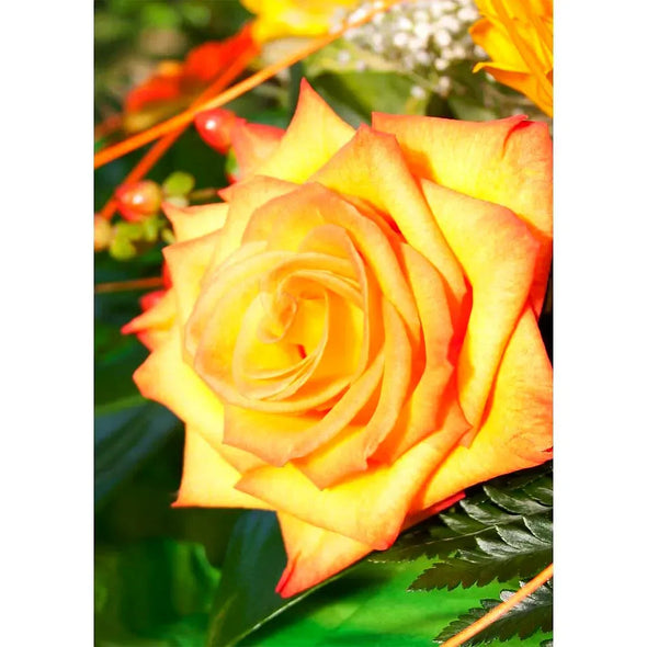 Yellow Rose - 3D Lenticular Postcard Greeting Card - NEW Postcard 3dstereo 