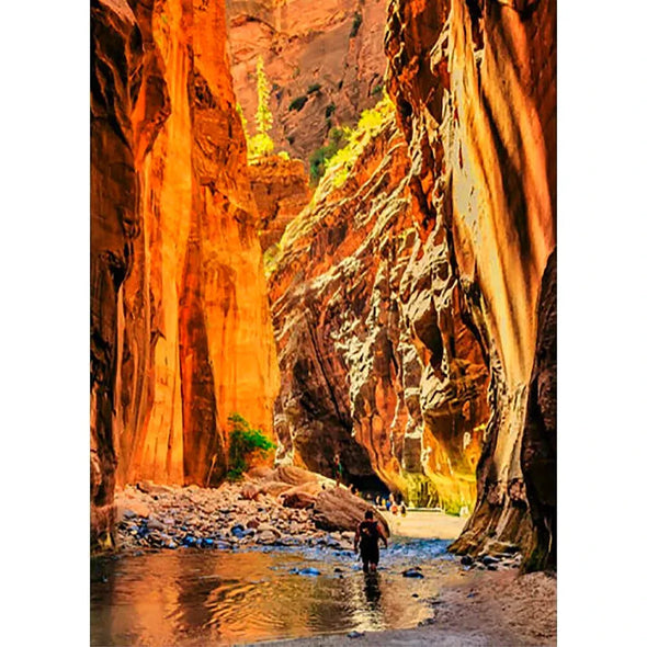 Zion Canyon and The Narrows - 3D Lenticular Postcard Greeting Card - NEW Postcard 3dstereo 
