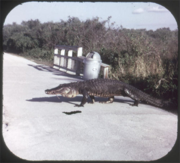 Andrew - Everglades - National Park - View-Master 3 Reel Packet - 1970s view - vintage - (A939-G3A) Packet 3dstereo 