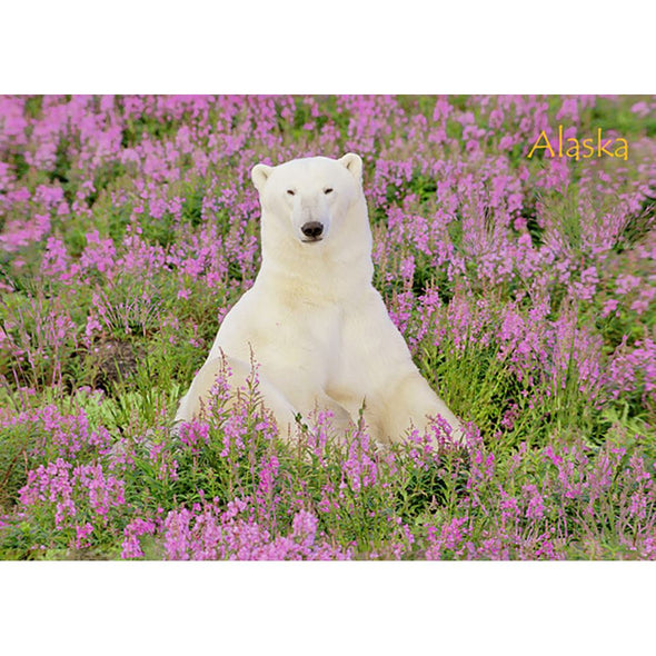 Bear Polar in Fireweed AK - 3D Lenticular Postcard Greeting Card - NEW Postcard 3dstereo 