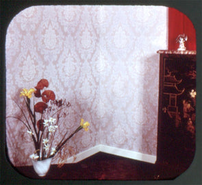 4 ANDREW - Inaltera - revêtement mural velours lavable - View-Master Commercial Reel - vintage - #5 Reels 3dstereo 