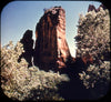 Zion National Park - View-Master Gold Center Reel - 141 - vintage Reels 3dstereo 