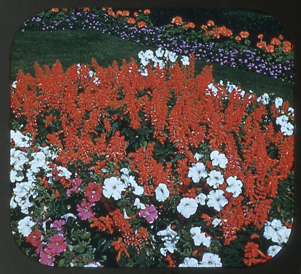 Garden Flowers, Spring, Summer, Autumn - View-Master 3 Reel Set - (WKT-GFL) WKT 3dstereo 