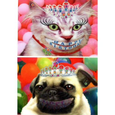 Happy Birthday Smiling Cat & Dog - COMBO 2 Humorous Animated Flip Lenticular Postcards- NEW 3dstereo 