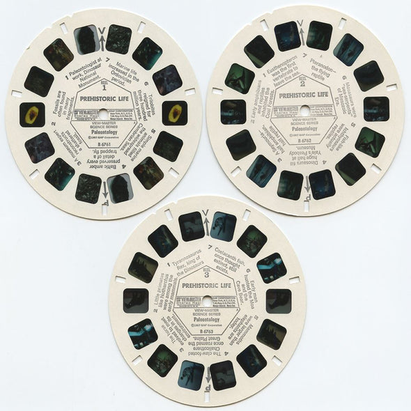 ANDREW - Prehistoric Life - Paleontology - View-Master 3 Reel Packet - 1970s views - vintage- (B676-G3A) Packet 3dstereo 