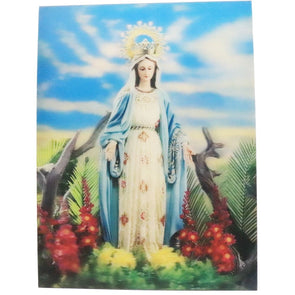 Lady of Grace - 3D Lenticular Poster - 12 X 16 Poster 3dstereo 