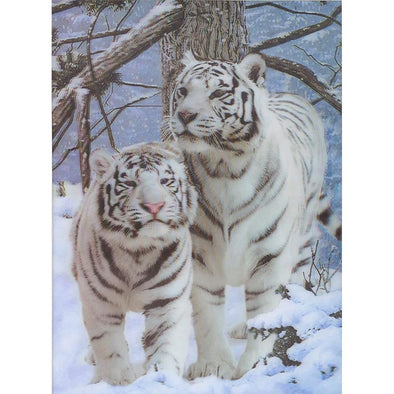 White Tiger - 3D Lenticular Poster - 12x16 - NEW Poster 3dstereo 