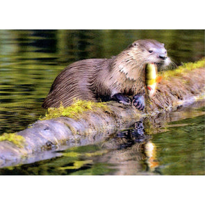 River Otter - 3D Lenticular Postcard Greeting Card - NEW Postcard 3dstereo 