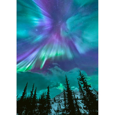 Aurora Borealis #14 - 3D Lenticular Postcard Greeting Card - NEW Postcard 3dstereo 