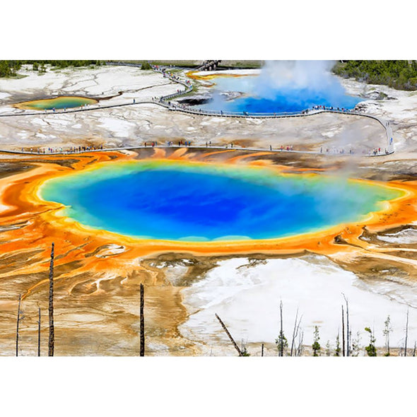 Yellowstone Grand Prismatic Spring - 3D Lenticular Postcard Greeting Card- NEW Postcard 3dstereo 