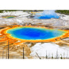4 - Yellowstone Nat'l Park - 3D Lenticular Postcards Greeting Cards - NEW Postcard 3dstereo 