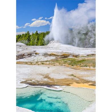 Yellowstone Heart Spring and Lion Geyser - 3D Lenticular Postcard Greeting Card - NEW Postcard 3dstereo 