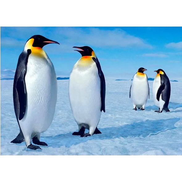 Penguins - 4 3D Lenticular Postcards Greeting Cards - NEW Postcard 3dstereo 