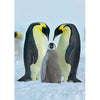 Penguins - 4 3D Lenticular Postcards Greeting Cards - NEW Postcard 3dstereo 