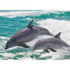 4 - Dolphins - 3D Lenticular Postcards Greeting Cards - NEW Postcard 3dstereo 