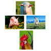 4 - Farm Animals - 3D Lenticular Postcards Greeting Cards - NEW Postcard 3dstereo 