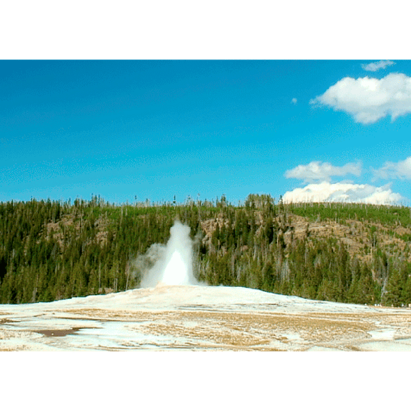 Old Faithful erupting, Yellowstone - 3D Action Lenticular Postcard Greeting Card Postcard 3dstereo 