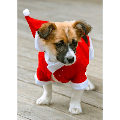 Christmas Puppy - 3D Lenticular Postcard Greeting Card Postcard 3dstereo 