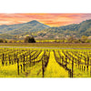 Napa Valley, California - 3D Action Lenticular Postcard Greeting Card Postcard 3dstereo 