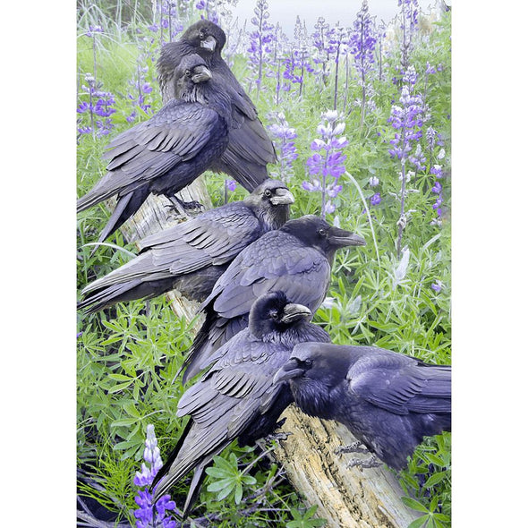 Raven rendezvous - 3D Lenticular Postcard Greeting Card Postcard 3dstereo 